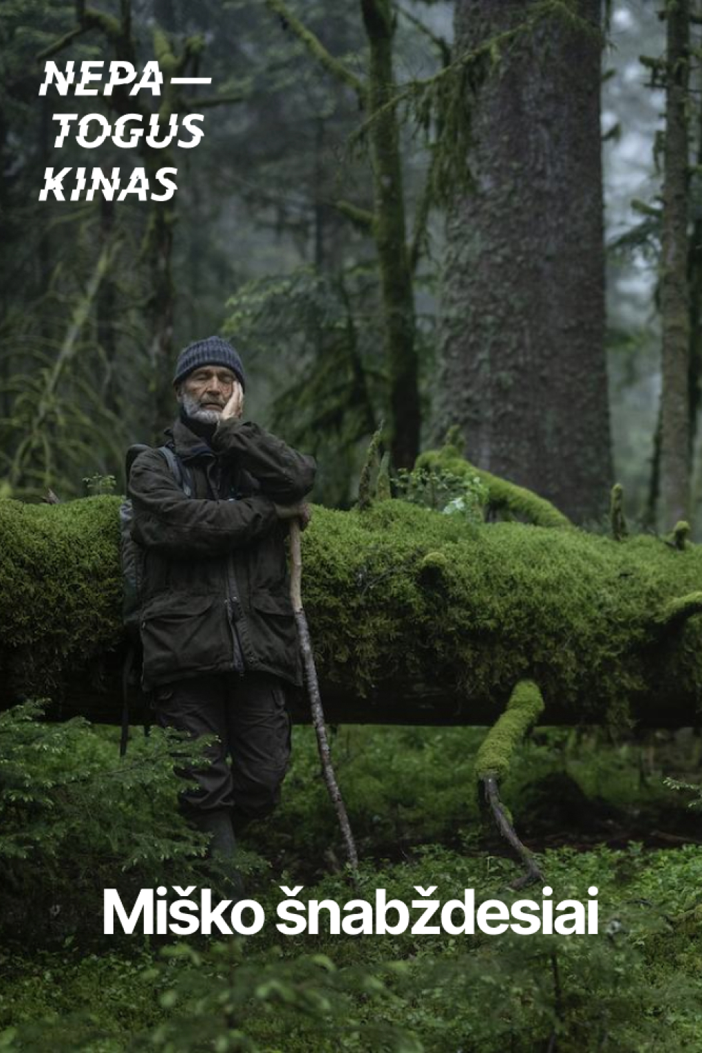 Miško šnabždesiai | Nepatogus kinas